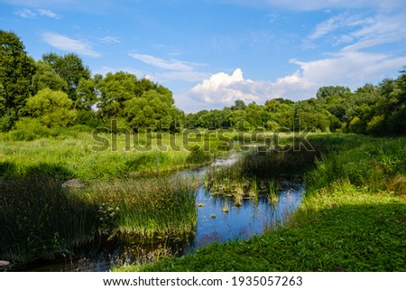 scenic summer river view in forest with green foliage tree leaf and low water with rocks and sand in stream