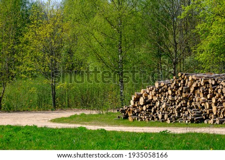 pile of old log wood in countryside forest scene with moss and green background