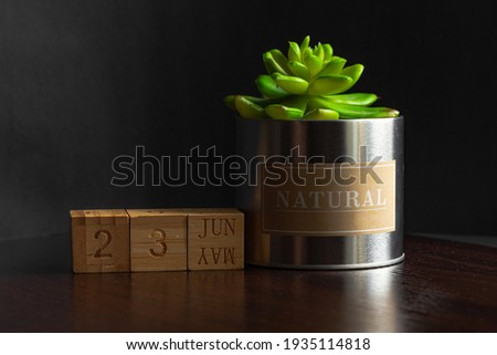 June 23. Image of the calendar June 23 wooden cubes and an artificial plant on a brown wooden table reflection and black background. with empty space for text