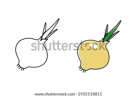 Onion vector icon. Onion for coloring book. Natural food for healthy nutrition isolated on white background.