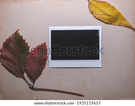 Blank photo frame with autumn leaves on brown background as template for graphic design. Photo cards with space for your logo or text.