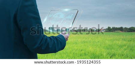Businessman using smart tablet,rice fields production control,concept agricultural product control technology,to agriculture future trading world market,track productivity,satellite for Agriculture