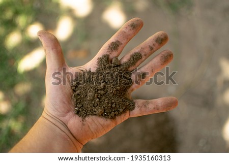 
Hands holding earth (concept April 22 - International Mother Earth Day)