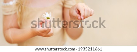 Little girl hands puling petals from a chamomile. Soft focus.