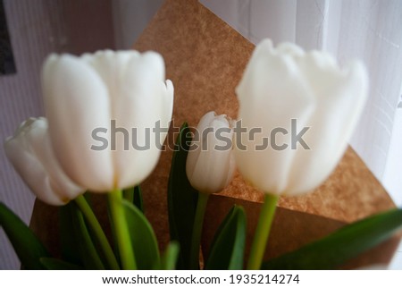 The image of white tulips bouquet in a kraft wrapping paper. White tulips on painting background. Tulips. Curtains backgorund. Micro shooting of white tulips