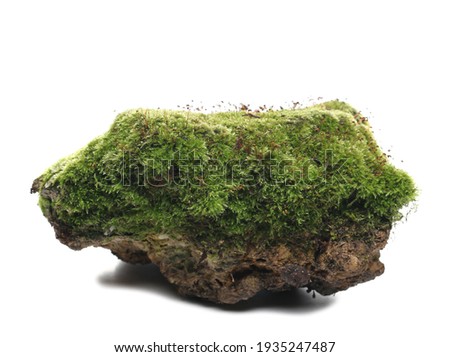 Green moss on stone, isolated on white background Royalty-Free Stock Photo #1935247487