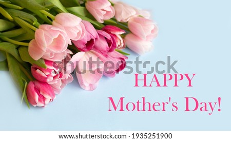 Bouquet of tulips. Beautiful background of delicate tulips on a trendy blue background. Postcard for women's day, mother's day. Celebration concept Royalty-Free Stock Photo #1935251900