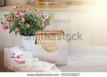 Matzah in a special box (with an inscription "matzo"), fuchsia flower on the kitchen table. Pesach background