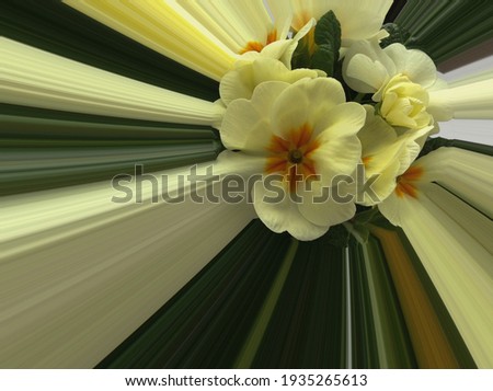 Green spring background, randomly composed stripes using a photo booth, in the middle is bordered space for a spring primrose