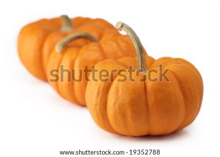 three pumpkin halloween thanksgiving harvest isolated