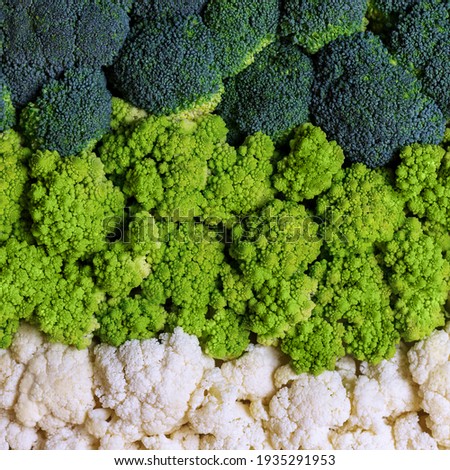 Set of broccoli, cauliflower and roman cauliflower. Fresh cabbage background. Green vegetable backdrop. Healthy vegetarian food. Vegan concept. Top view. Royalty-Free Stock Photo #1935291953
