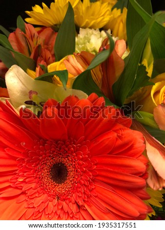 Orange gerbera daisy photobombing a floral picture