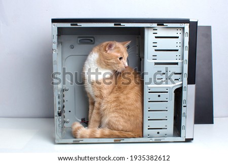 A red cat sits inside an empty computer case