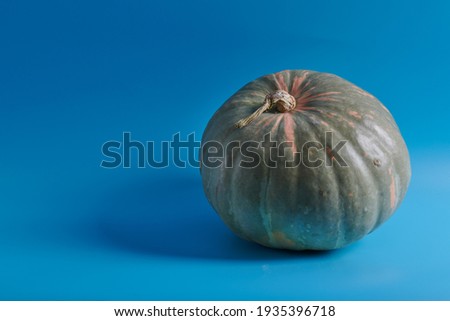 green large pumpkin on a blue background