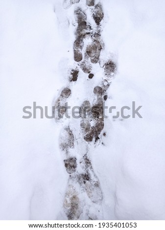 Footprint in the snow .  Human footprint in white snow, free space. Footprints from boots in the snow.