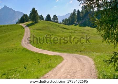 Scenic path in beautiful summer mountain pasture , Dolomites Italy, European Alps. Royalty-Free Stock Photo #1935432595