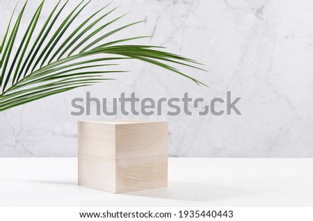 Tropical design for presentation and product display - cube wood podium with green palm leaf, sunlight and shadow on white wood table, marble wall in sunlight.