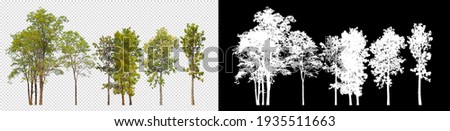 collection tree on transparent background picture with clipping path 