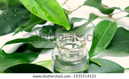 tea tree essential oil in small bottles. selective focus. Nature Royalty-Free Stock Photo #1935514525