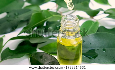 tea tree essential oil in small bottles. selective focus. Nature Royalty-Free Stock Photo #1935514531