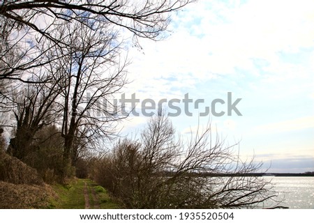 Dirt path by the shore of a lake bordered by bare trees in a park in the italian countryside in late winter
