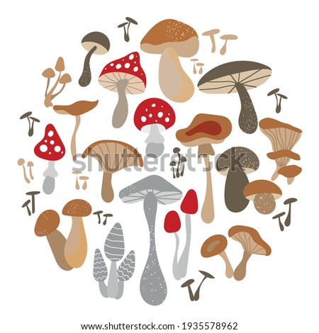 Mushroom set of vector illustrations isolated on white. White mushroom, chanterelles, honey agarics, mushrooms, fly agarics, morels. A set of ingredients for the witch's potion. Cartoon style. Royalty-Free Stock Photo #1935578962
