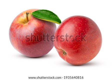 Closeup two fresh red apples fruit with green leaf isolated on white background. 
