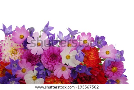 Background of beautiful flowers on white