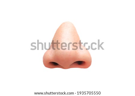 View of the nose lustrings on white background Royalty-Free Stock Photo #1935705550