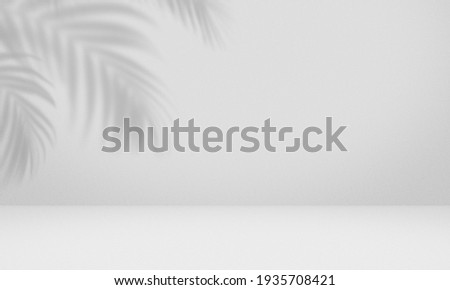 Empty palm shadow white gray color texture pattern cement wall background. Used for presentation  business nature cosmetic products for sale shop online. Summer tropical beach with minimal concept. Royalty-Free Stock Photo #1935708421