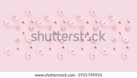 Background with white flowers on a pale pink background.  Fresh spring apricot flowers on pink paper background. Blank for your design. Beautiful nature scene. Flat lay style. 