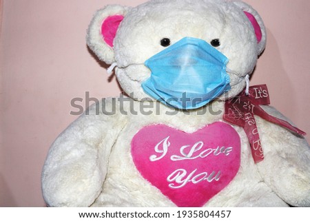 Nice and cute teddy bear with mask, horizontal frame. 