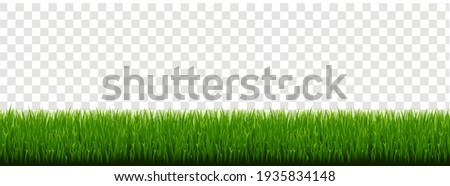 Green Grass Border With Transparent Background, Vector Illustration