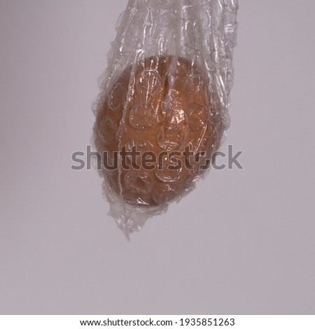 Easter egg in a protective bag.