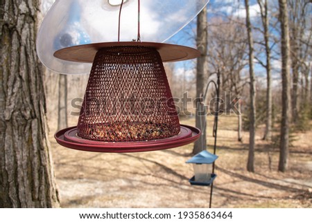 A transparent, rust-coloured metal bird feeder with a clear squirrel dome on top, hanging from an iron frame on a deciduous tree in London, Ontario, Canada during the spring time. 