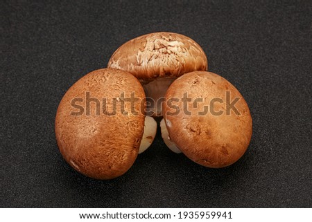 Tasty Raw Brown Champignons over background