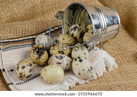 Quail eggs, a white napkin and a metal bucket on burlap. Raw eggs and a small galvanized bucket. Close-up, selective focus.