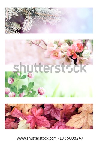 Four seasons of year. Set of horizontal nature banners with winter, spring, summer and autumn scenes. Copy space for text