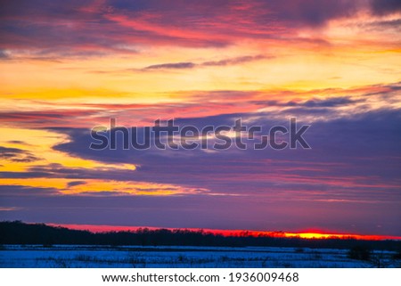 beautiful sunset winter landscape with snow-covered field and trees, sky in purple and pink colors