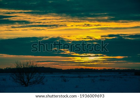 beautiful sunset winter landscape with snow-covered field and trees, sky in purple and pink colors