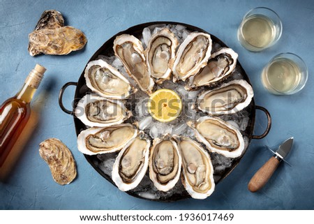 Oysters and wine. A dozen of raw oysters with a shucking knife Royalty-Free Stock Photo #1936017469