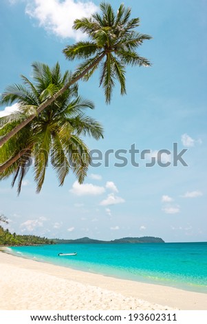 Tropical white sand with palm trees at Koh Kood, Thailand