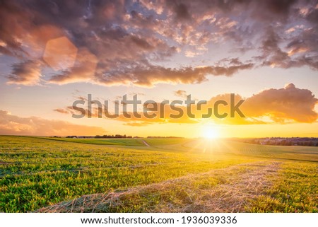 Sunset at cultivated land in the countryside on a summer evening with cloudy sky background. Landscape. Royalty-Free Stock Photo #1936039336