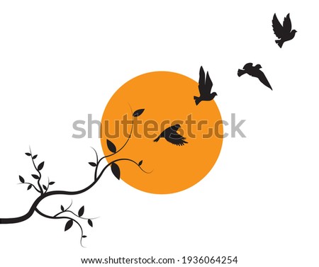 Flying birds silhouettes on sunset and branch illustration, vector. Wall decals, artwork, wall art design isolated on white background. Natural background. Beautiful minimalist art design