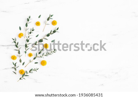 Flowers composition. Yellow flowers and eucalyptus leaves on marble background. Flat lay, top view