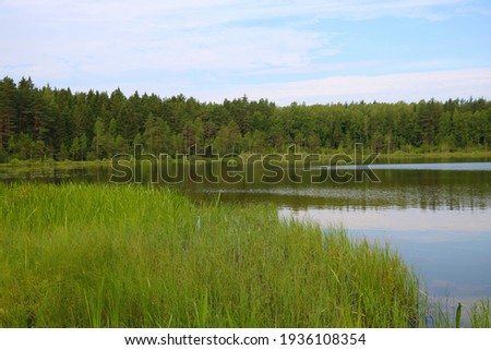 View of a small lake on a spring day