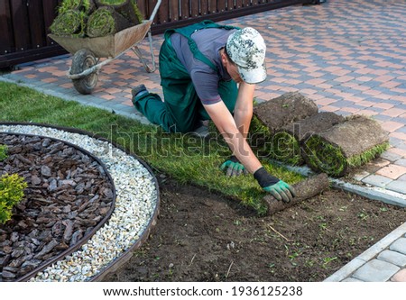Gardener applying turf rolls in the backyard Royalty-Free Stock Photo #1936125238