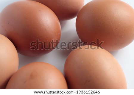 close up chicken eggs isolated in white background
