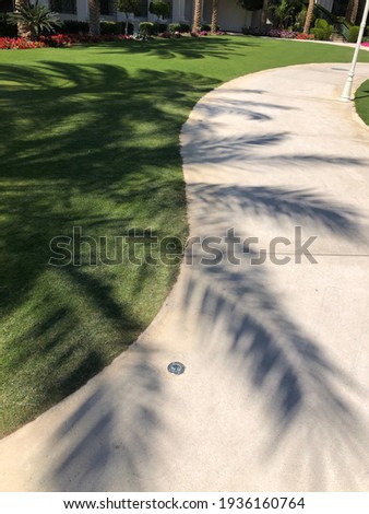 The shadow of a palm tree on the wall on the floor. Summer shadows silhouettes