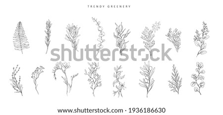 Floral branch. Hand drawn wedding herb, plant and monogram with elegant leaves for invitation save the date card design. Botanical rustic trendy greenery vector Royalty-Free Stock Photo #1936186630